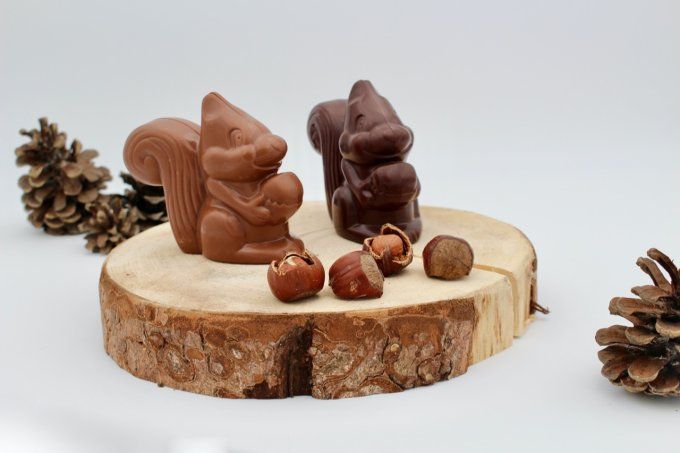 Écureuil au chocolat