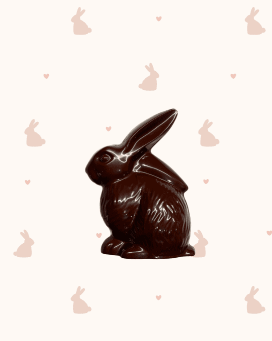 Lapin - 100g